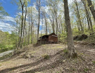 411 Alum Cave Rd, McKee, KY 40447