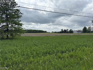 0 Norwalk Rd, Litchfield, OH 44253