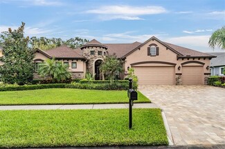 3110 Watermark Dr, Wesley Chapel, FL 33544