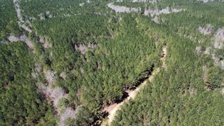 +/-18 Acres Unit Attala County MS, Booneville, MS 39108