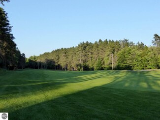 Lot #14 Gogebic Ct Unit 14, Thompsonville, MI 49683