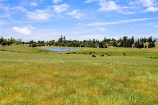 3510 Deer Lake Park Rd, Julian, CA 92036