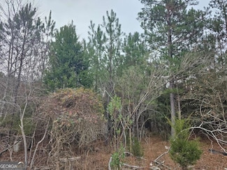 730 Osley Mill Rd, Carlton, GA 30627