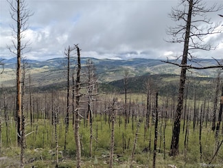 490 Soubry, Fort Garland, CO 81133