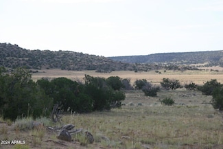 758 E Woodland Valley Ranch -- Unit 758, Saint Johns, AZ 85936
