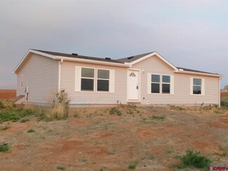 0 Road 18 Unit 748396, Pleasant View, CO 81331