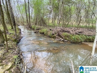 0 Wolf Creek Rd N Unit 34 Acres 21415908, Pell City, AL 35125