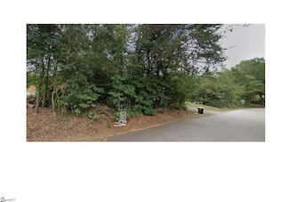 60 Valencia St, Piedmont, SC 29673