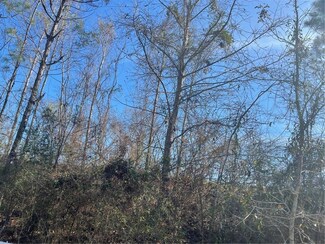 0 Windy Oaks Ct Unit 7013473, Grand Bay, AL 36541