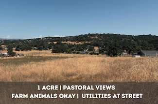 2535 Danaher Dr, Valley Springs, CA 95252