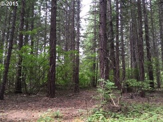 117 W Timber Valley Rd, Appleton, WA 98602