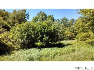 Lot #4 0 County Route 59, Brownville, NY 13634