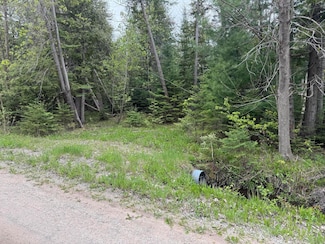 0 Michigan 68 Unit 201834858, Alanson, MI 49706