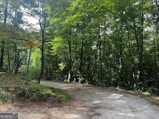 0 Pitts Way Unit 10360341, Rabun Gap, GA 30568