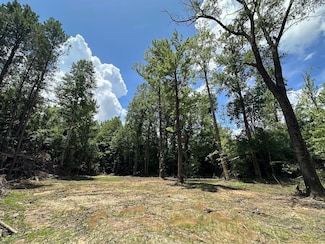 0 Spay Rd, McCool, MS 39108
