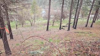 TBD May St Blk 56 Lot 6, Peck, ID 83545