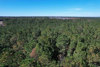 7.90 Acres-TBD Puncheon Creek Dr, Andrews, SC 29510