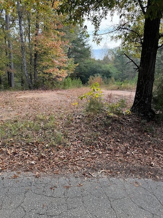 LOT 8 Evans Cir, Jasper, AL 35501