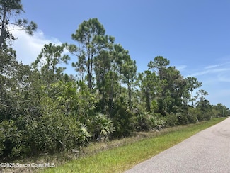 0000 Smith Ln, Malabar, FL 32950