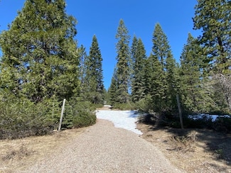 4-H-6 & 7 Ridge Dr Unit 4, McCloud, CA 96057