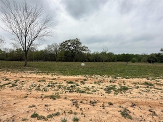 1113 Gonzollas Rd, Springtown, TX 76082