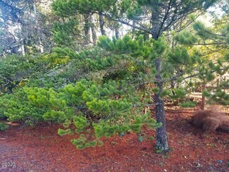 Lot 210 Hacienda Ave, Lincoln Beach, OR 97367