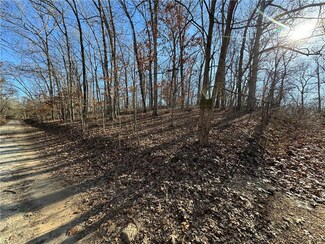 000 Kelley Parkway Rd, Buffalo Township, MO 65078