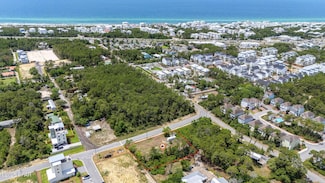 41 Wildwood Trail, Inlet Beach, FL 32413