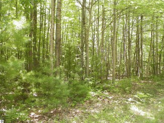 Lot 48 Bramblewood Dr, Cadillac, MI 49601