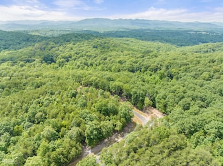 # 50 Chimney Ln, Cleveland, GA 30528