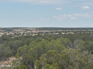 Lot 99 Carrizo Ranch -- Unit 99, Saint Johns, AZ 85936