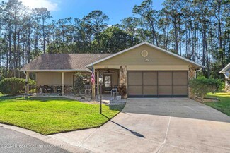 6312 Darien Way, Spring Hill, FL 34606