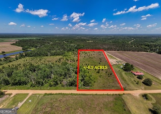LOT #4 - 6.5+/- Perry Horton Rd, Adrian, GA 31002