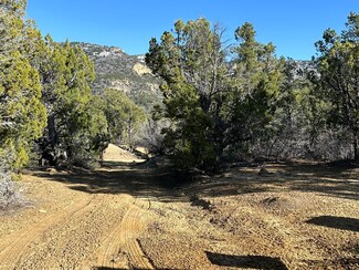 3 Acres In North Fork Sub Cougar Canyon, Mt. Carmel, UT 84755