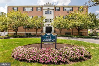 412 N Wayne Ave Unit B1, Wayne, PA 19087
