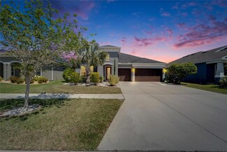 13622 Tonya Anne Dr, Riverview, FL 33579