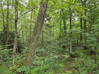 000 William Ernst Rd, Lewis, NY 13489