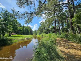 14 Jolly Roger Point, Carriere, MS 39426