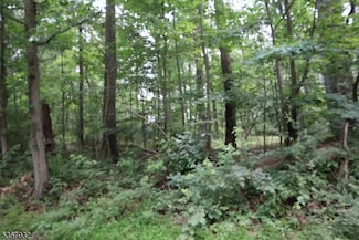 181 Mountain Rd, East Amwell Township, NJ 08551