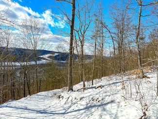 0 Vl O'Brien Rd Lot Unit WP001, Savona, NY 14879