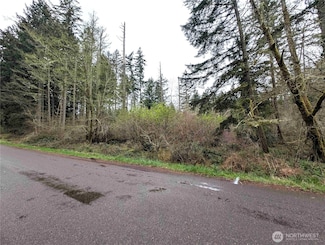 10618 Tahoma Dr, Anderson Island, WA 98303