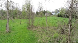 4455 S Ayers Rd, Newstead, NY 14001