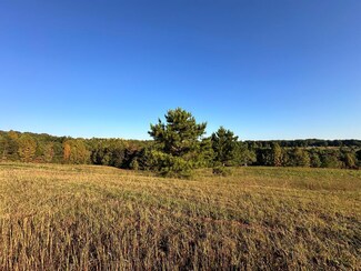 12.48ac Nichol Creek Dr, Jamestown, TN 38556