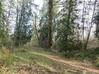 0 Horizon Waters Watch Lot 2 Dr, Kalama, WA 98625