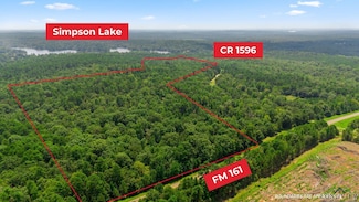 TBD County Road 1596, Avinger, TX 75630