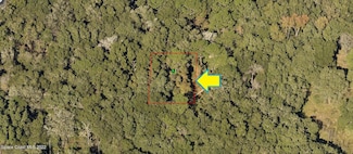 2107 Mistletoe St, Inverness, FL 34452