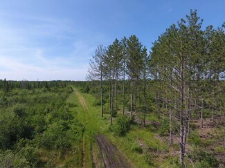 XXXX State Highway 71, Big Falls, MN 56627