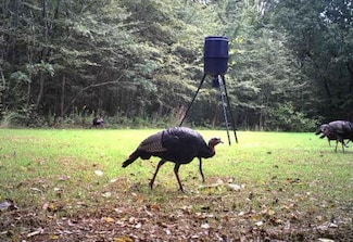 Scallions Rd, Grenada, MS 38901