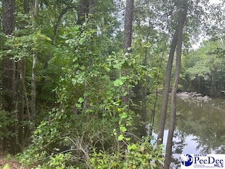 000 Manantial Rd, Lamar, SC 29069