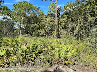 LOT 9 Parrot Rd, Weeki Wachee, FL 34614